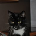 DSC_0047_20100314_047